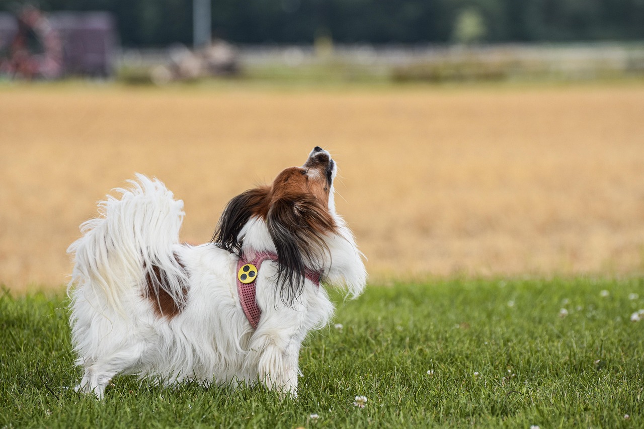 entdecken sie die wichtigsten informationen über blind spots: was sind blinde flecken, wie entstehen sie im alltag und wie können sie diese vermeiden? alles wissenswerte für mehr sicherheit und bewusstsein.